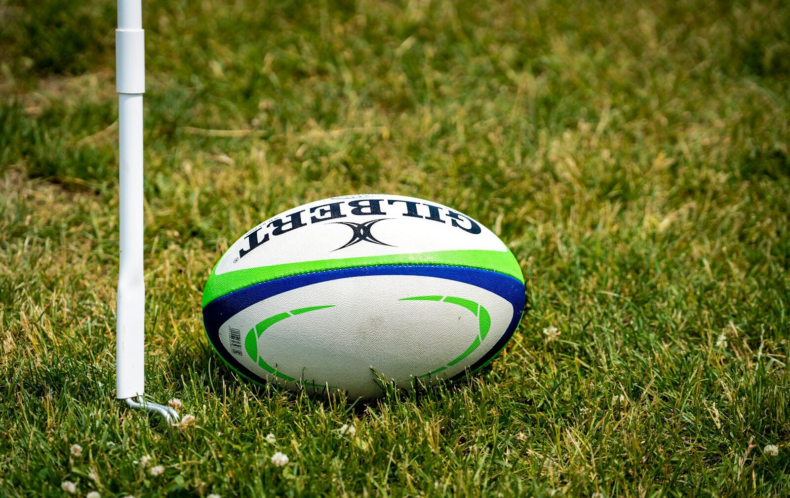 Sports Management & Coaching (Rugby)