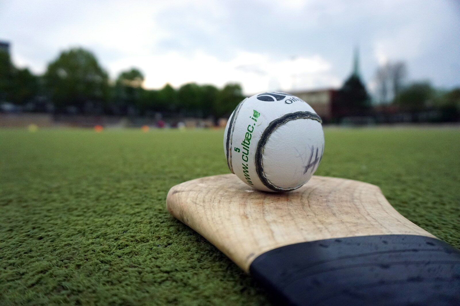 Sports Management & Coaching (Gaelic Games)